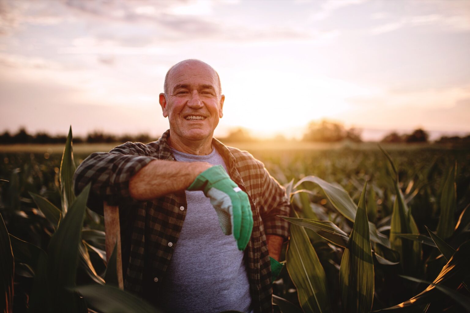 Farmer