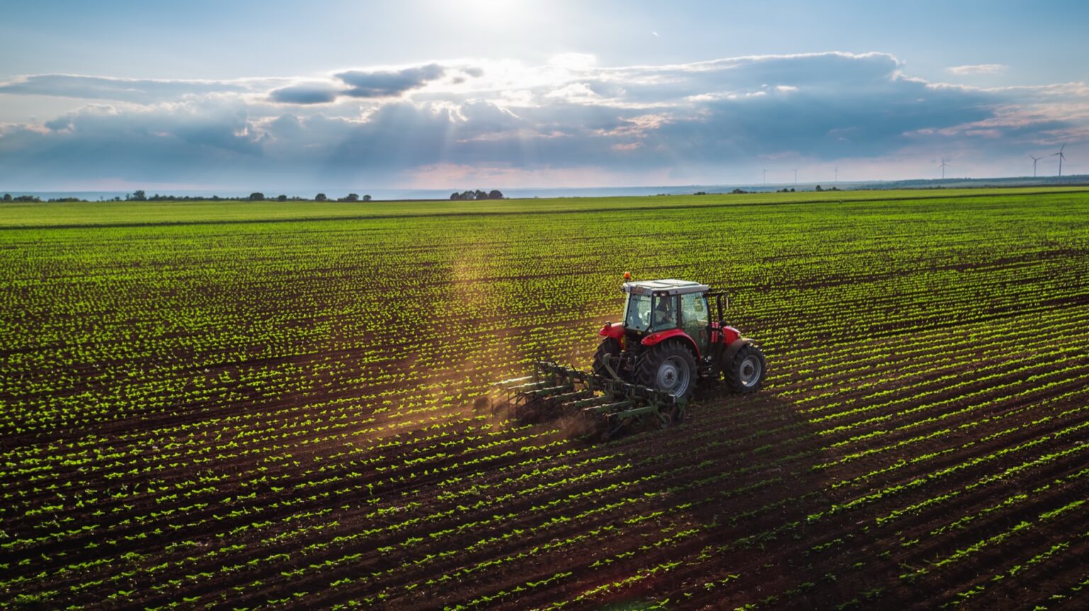 Cultivating Tractor